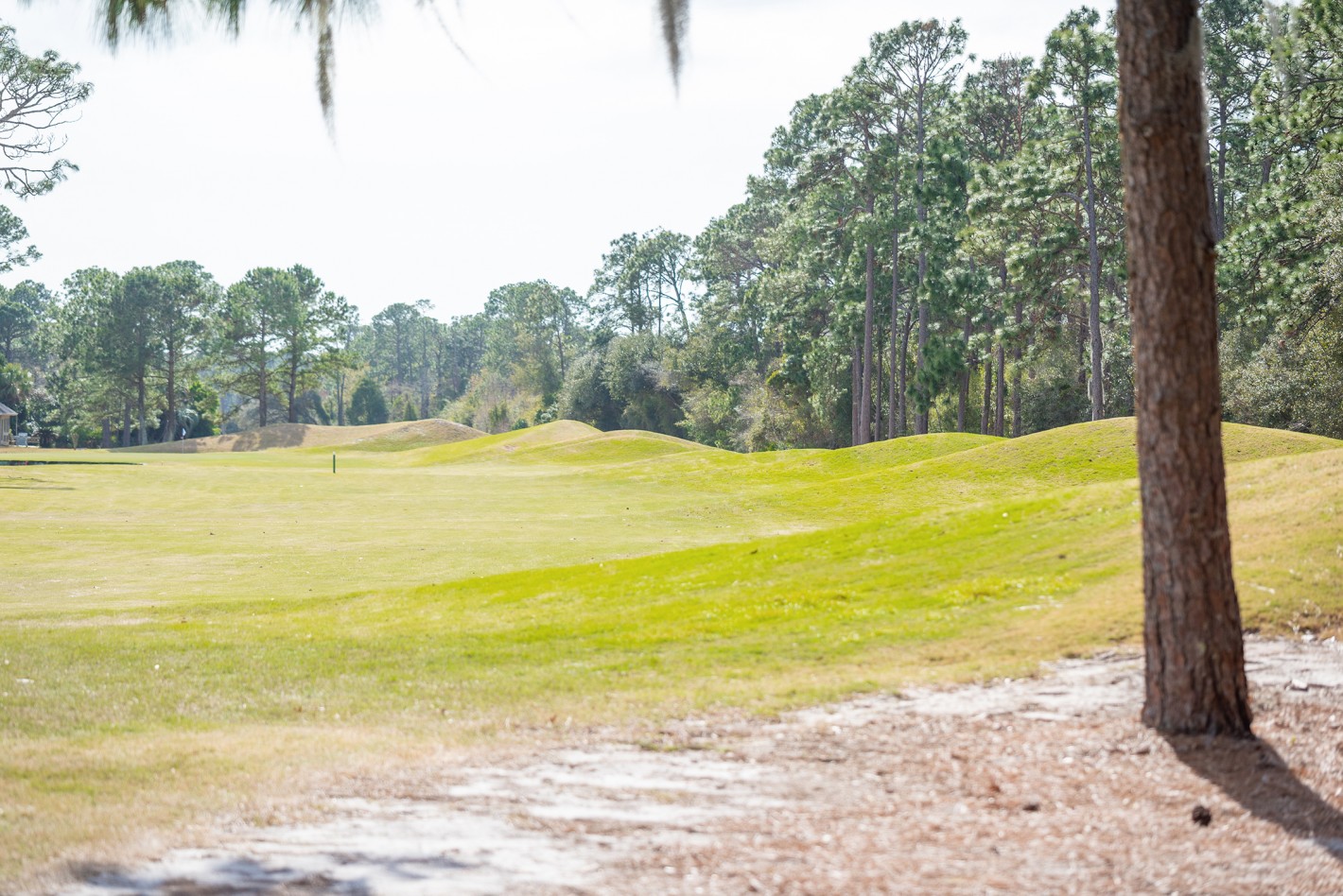 385 Fort Howell Drive